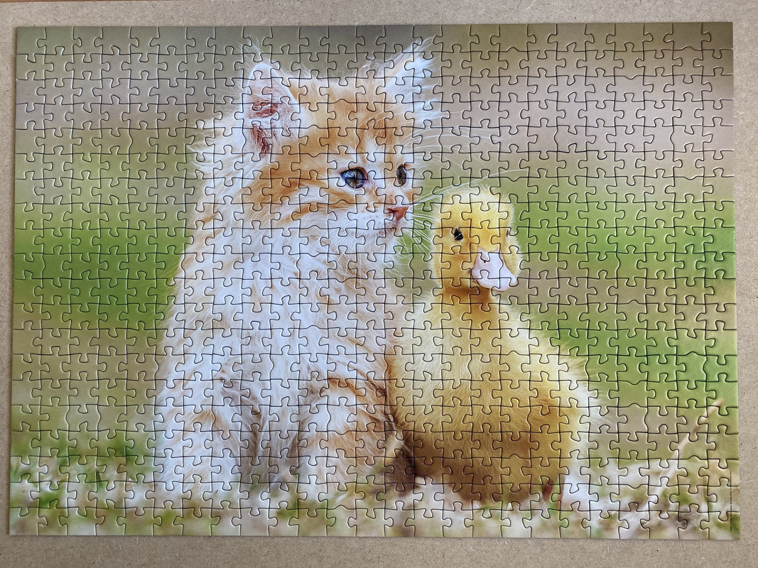 7F644CDB-5676-4B8D-ABE9-E45772DD5710