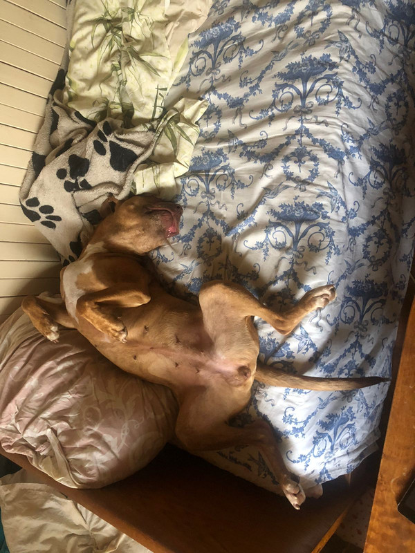 32A9D320-C316-4E3A-B377-1053DBD47FDD