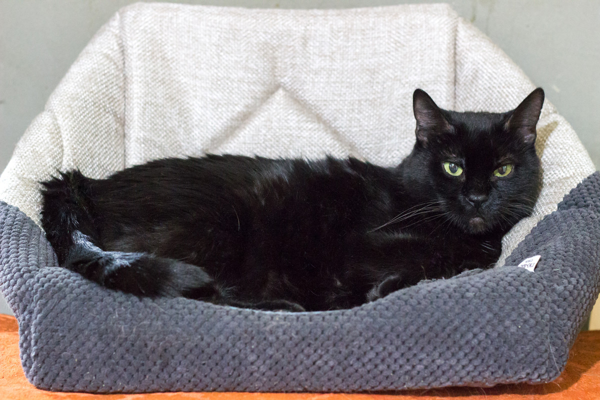 F9491A16-7E45-4100-8235-2C614977C10E