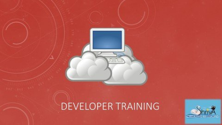 All You Need to Know About ServiceNow Development (New York)