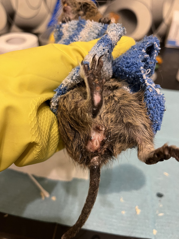 AD27D473-F449-4985-89B0-242B1623C4F0