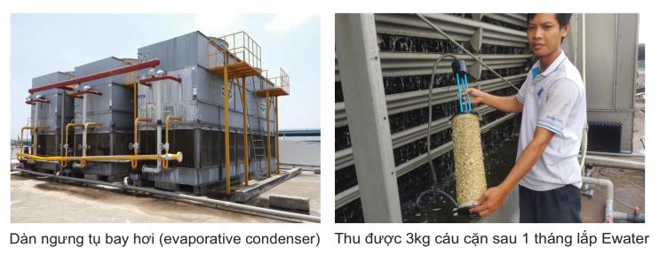 thiết bị tẩy cáu cặn ewater