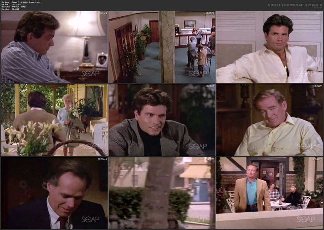 Falcon Crest S08E04 Jeopardy.mkv
