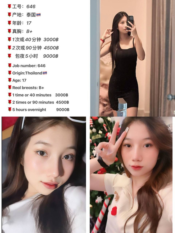 XLSLOT88 🏄‍♂️ LINK LOGIN XL SLOT88 AGEN BO SLOT PULSA TANPA POTONGAN TERBARU 2024