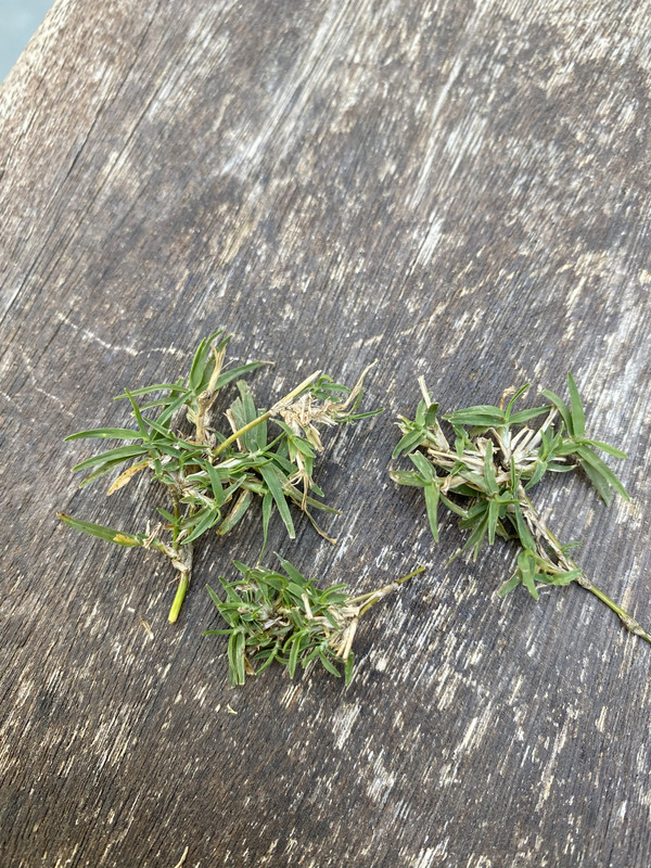 E4484241-4CF1-44B2-9C89-97D49AB04AA1