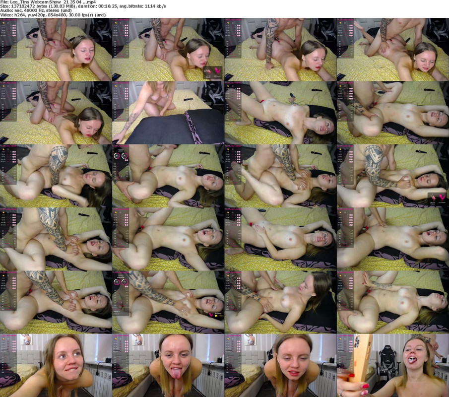 21112024084557screenshot