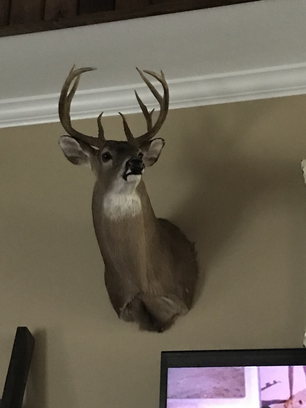 DAFBD95C-B303-4310-B6A5-0F5D262C8D24