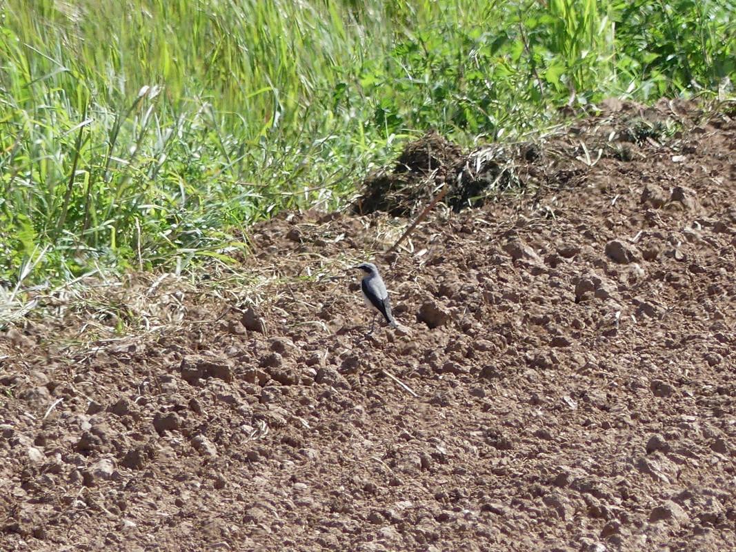 82F77D89-E69F-443C-9D7C-B93B401B9BFA