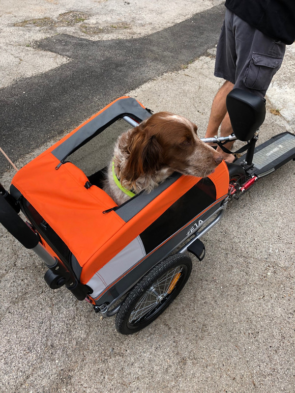 9D026C9D-2C9E-4D2F-A783-CC0FAD88D7E2