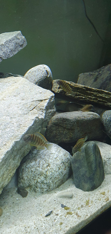 F256E098-563F-415E-BD09-69F7EE125AE2