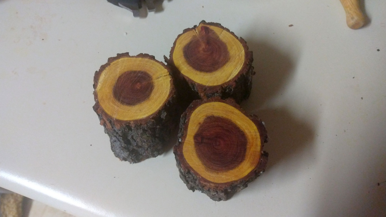 Mesquite Wood Cross Section — Postimages