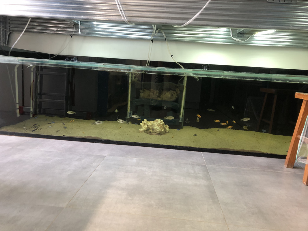 eREGeo%2Sf MOMqOW0c4Wg