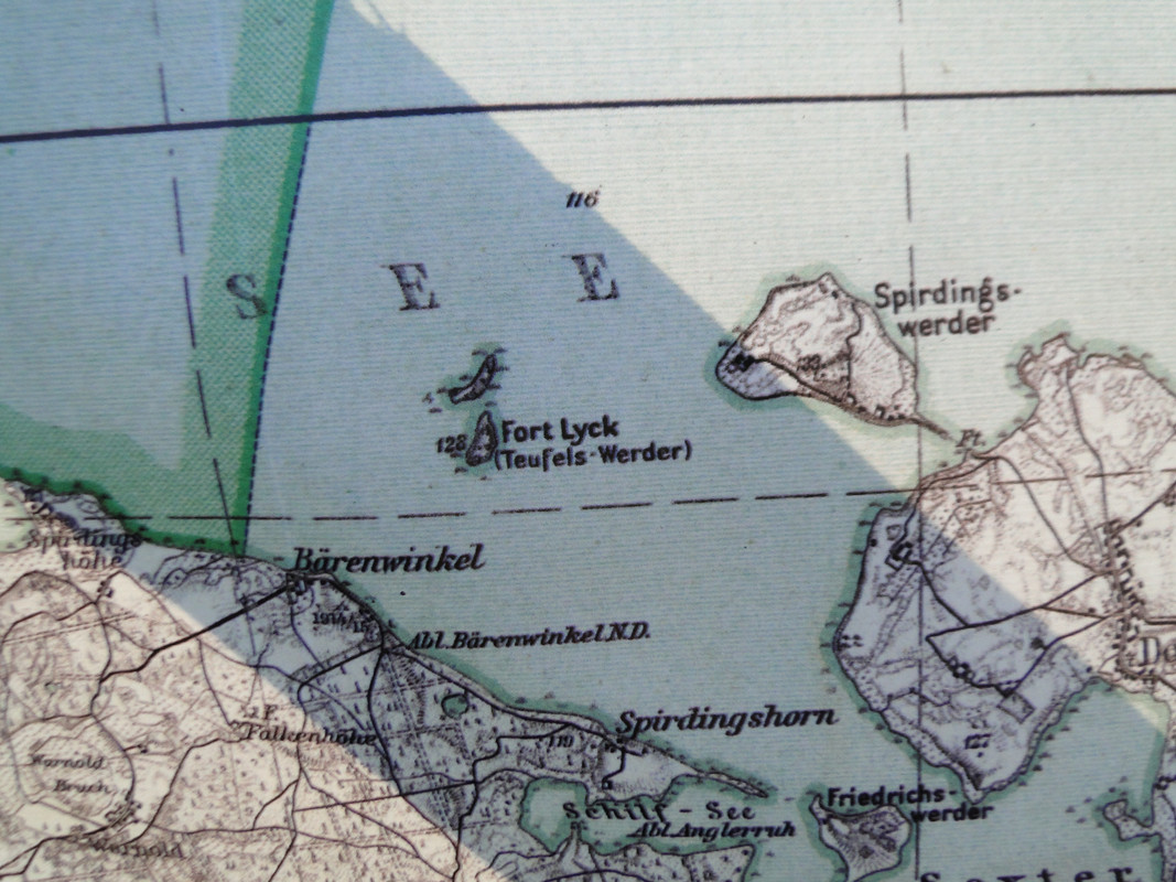 13 - DSC03885 (Mysikrólik)