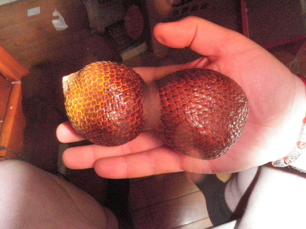 chinese fruits and stuff 001