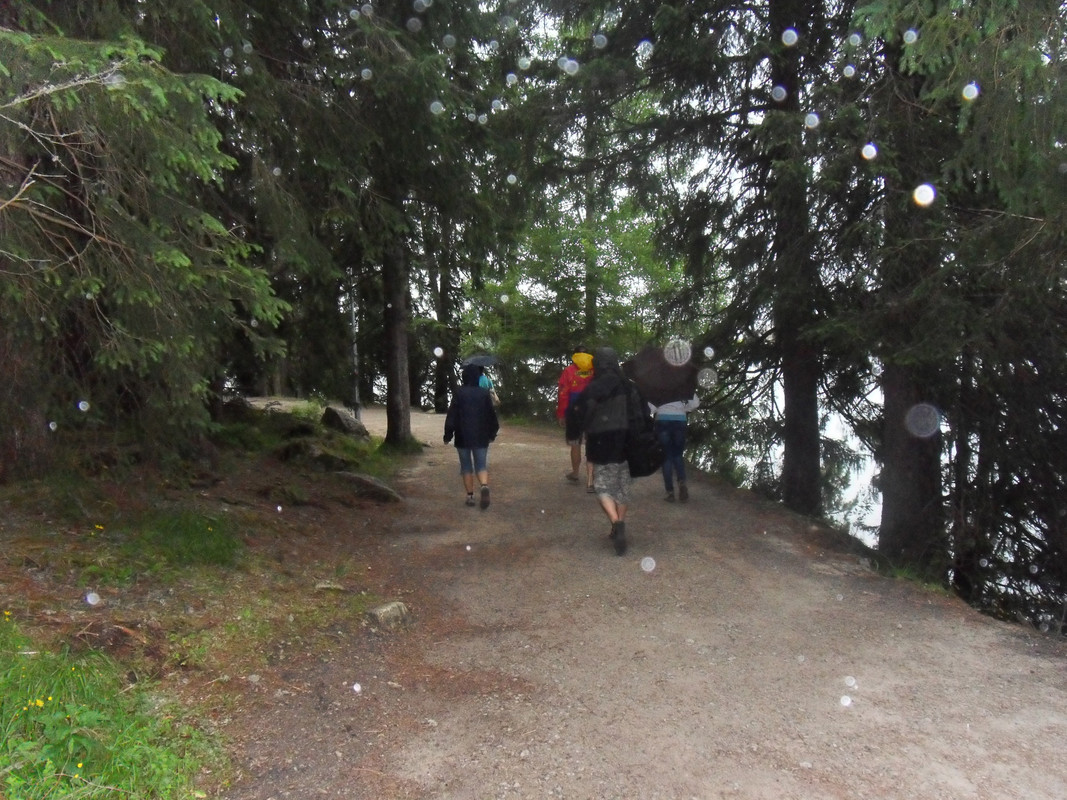 033 - SDC13872 (Czesio1)