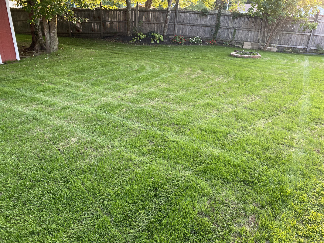 1738CEF9-A5F0-41D9-8D71-EE7EE3DF82DD