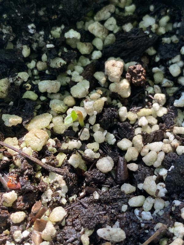 183E488D-AC57-4037-9E4E-5A02CB5E13D7