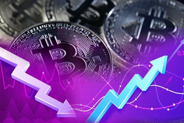 guide Криптовалютные фонды: как они работают и подходят ли для начинающих инвесторов?