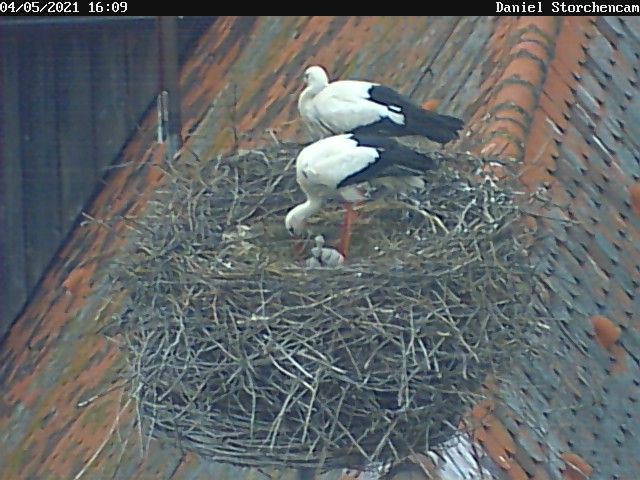 2021-05-04-1609-2Kü