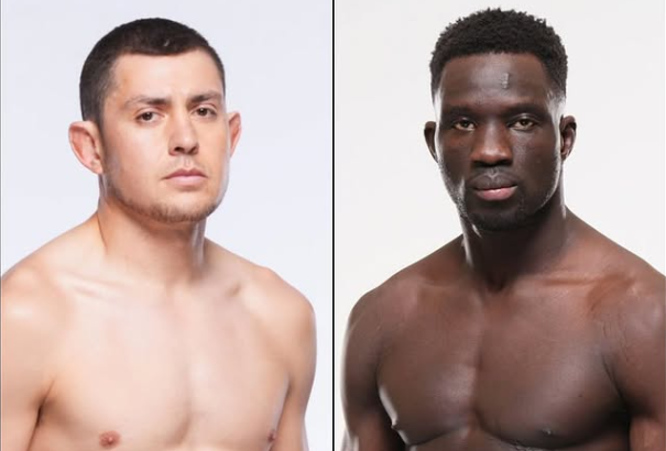 Стив Гарсия и Давид Онама оглавиха UFC Fight Night 263