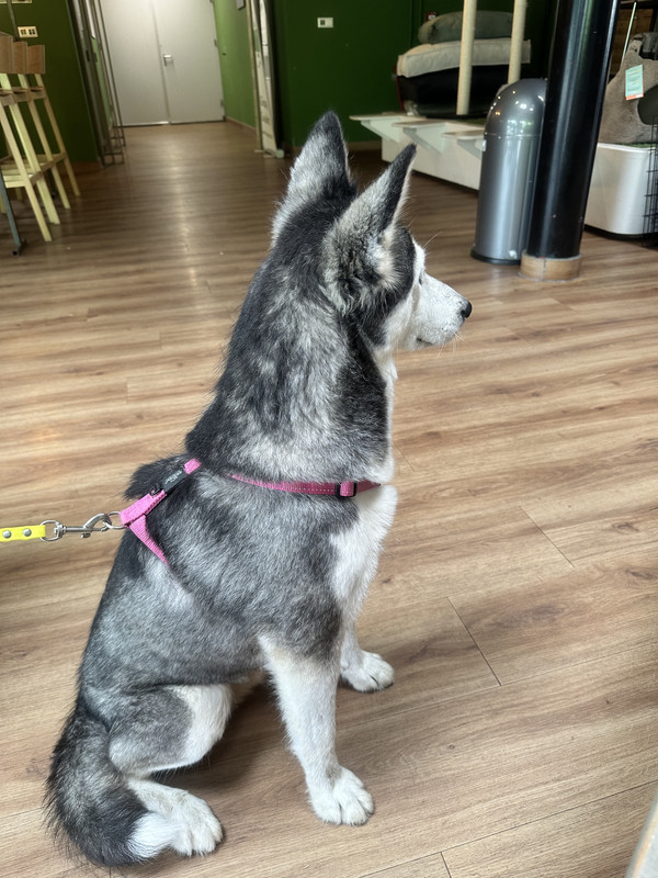 115545DD-BF6C-4C06-8BE8-E05D77C99F67