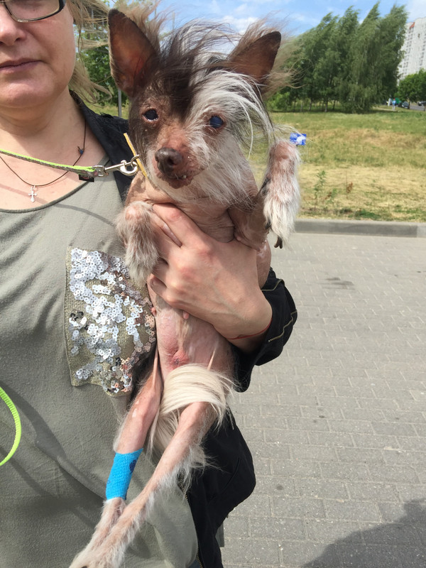 4D7785BF-52CC-46EE-BAD9-45FF4A918B7F