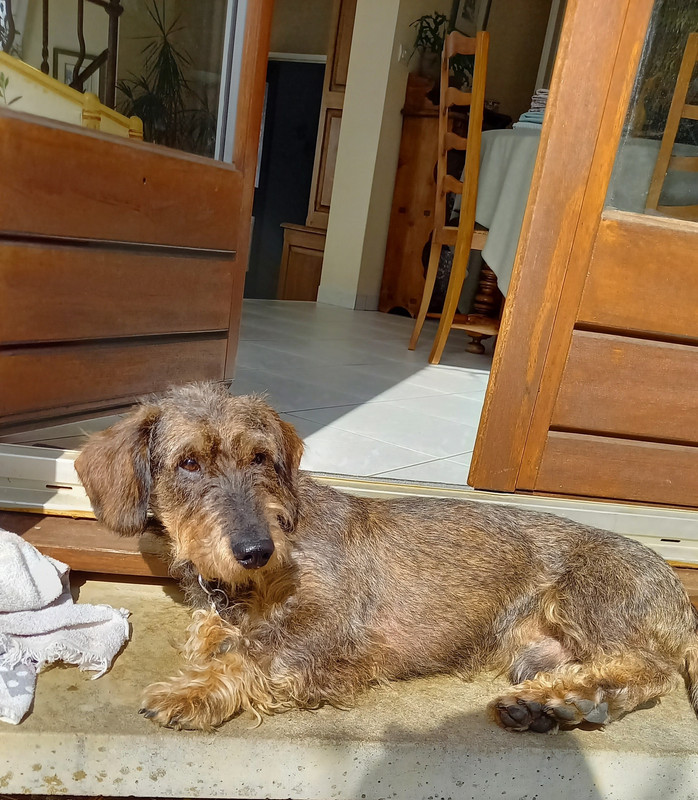 [Image: 20230318-113403.jpg]