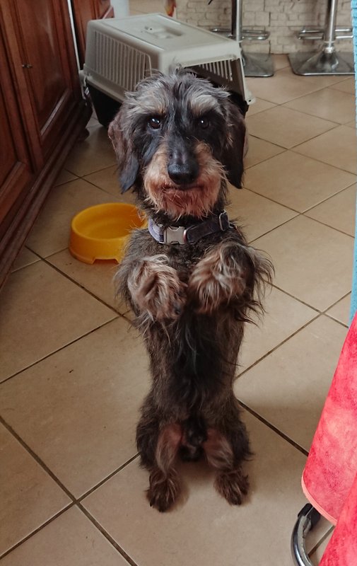 [Image: 20240221-134739.jpg]