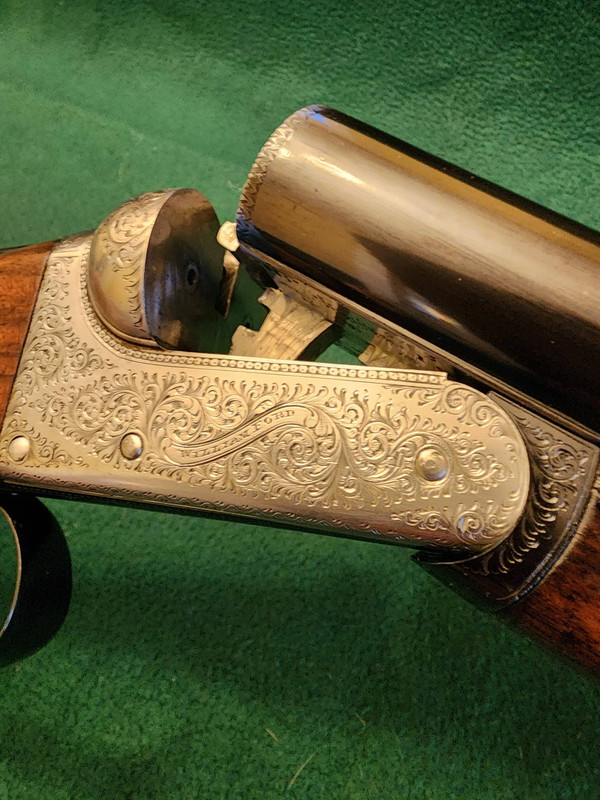 [Linked Image from i.postimg.cc]