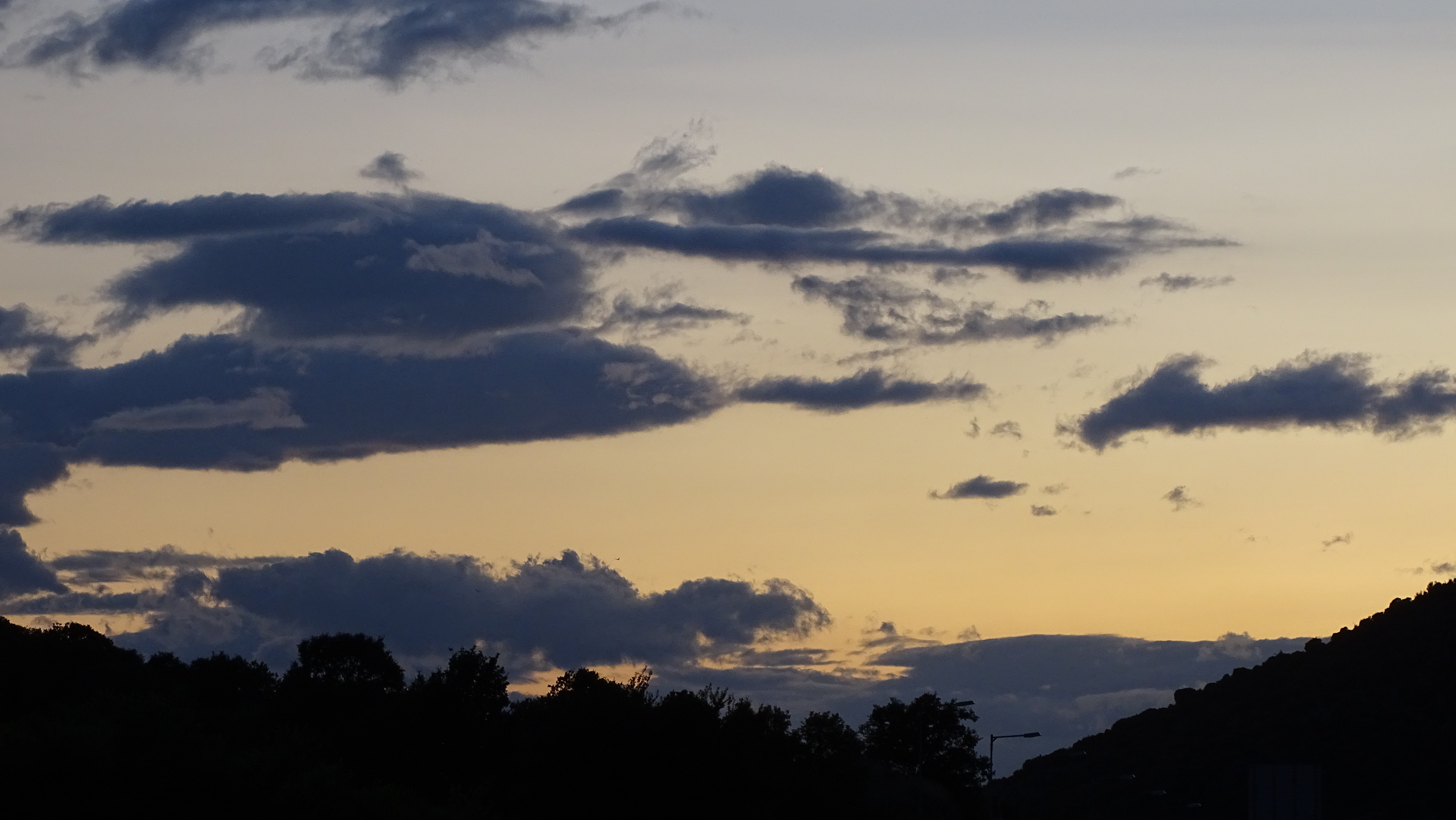 DSC02097.jpg