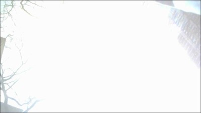 [Image: UP12335044508.jpg]