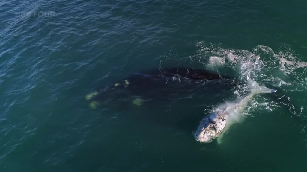 [Image: b5yvgb2tt7c8.jpg]