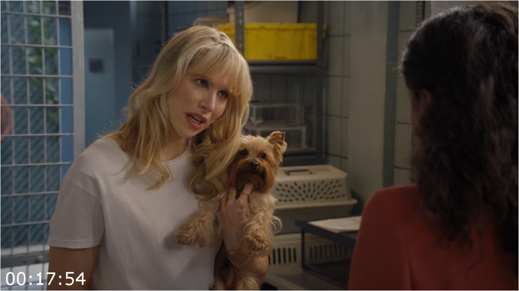 [Image: 1p3k0i8xetdc.png]