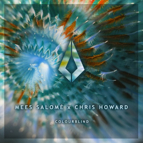 00-mees-salome-and-chris-howard-colourbl