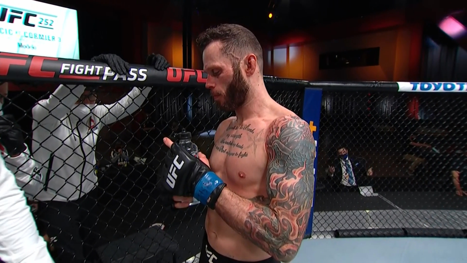 UFC 252 Full PPV 1080p HDTV x264-WH