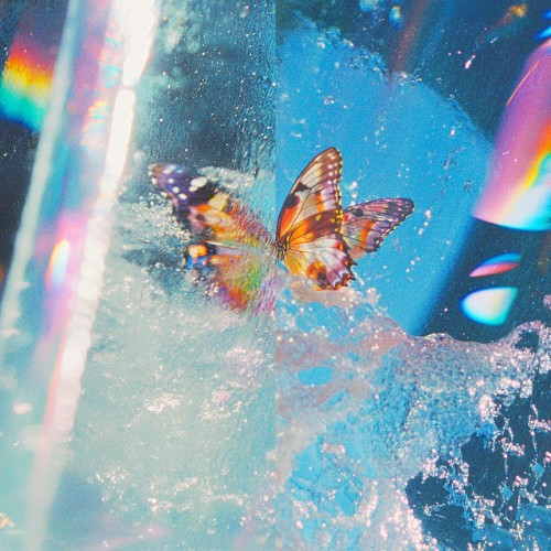 00-daphni-butterfly-expanded-edition-jia