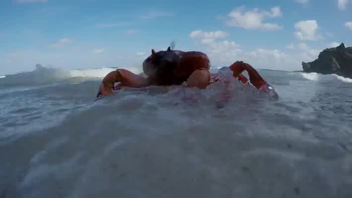 [Image: zx39t5ucqx9o.jpg]