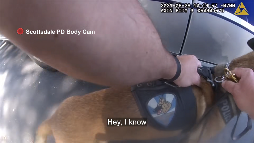 [Image: sw-3lw4s2zh9l.png]