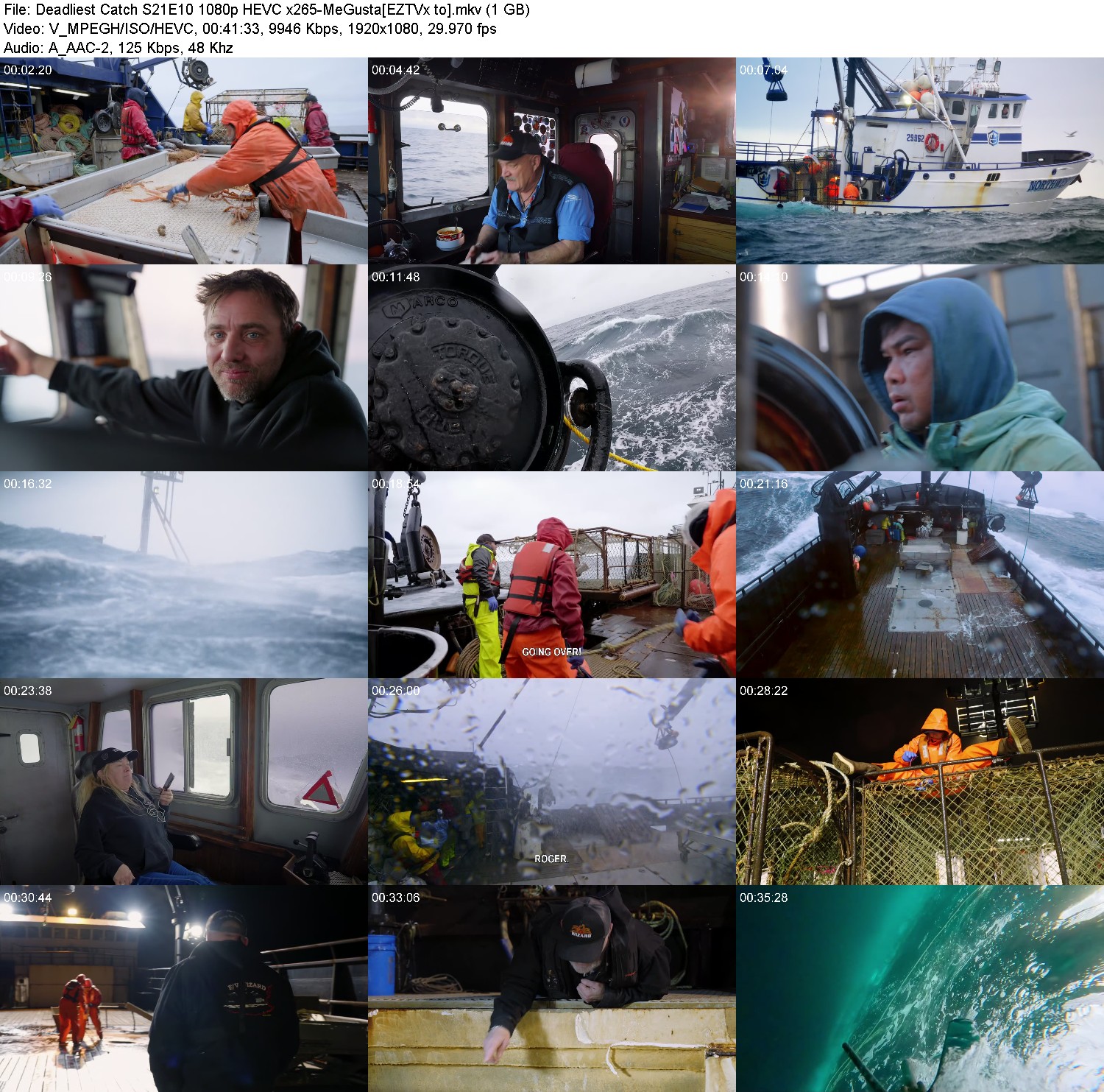 [Image: q6viz6bs2m5k.jpg]