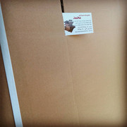 carton-mohammad (100)