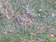 7B0CB71D-D02E-45AB-A005-6B71792D50C0