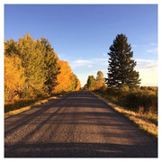 fc0b4f99e4339b407a4c8798edec94db