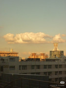 photo 4 2025 12 14 21 51 41