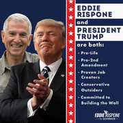 99859cd38eb7f3415e46981349c3d885-imagejpeg