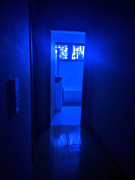 IMG_20211224_234943_tigr