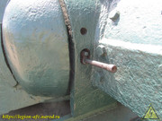 IMG-5353