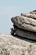 IMG-20220619-130009