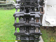 IMG-7631
