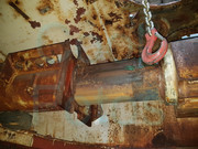 28070532-10215552753997187-3600859453609142286-o