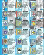 Album-Calciatori-2006-2007-Panini-142